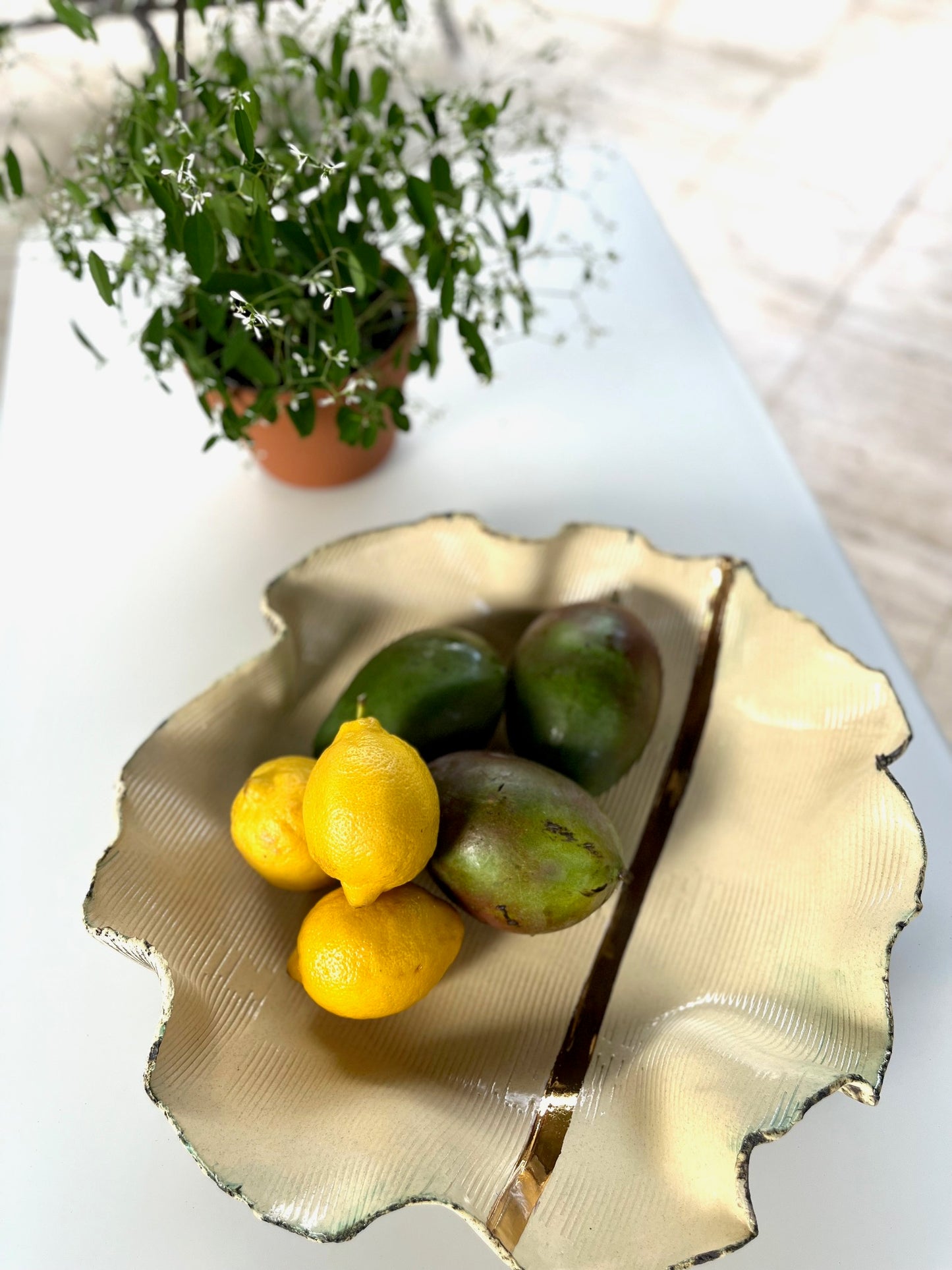 Round Conch Vases